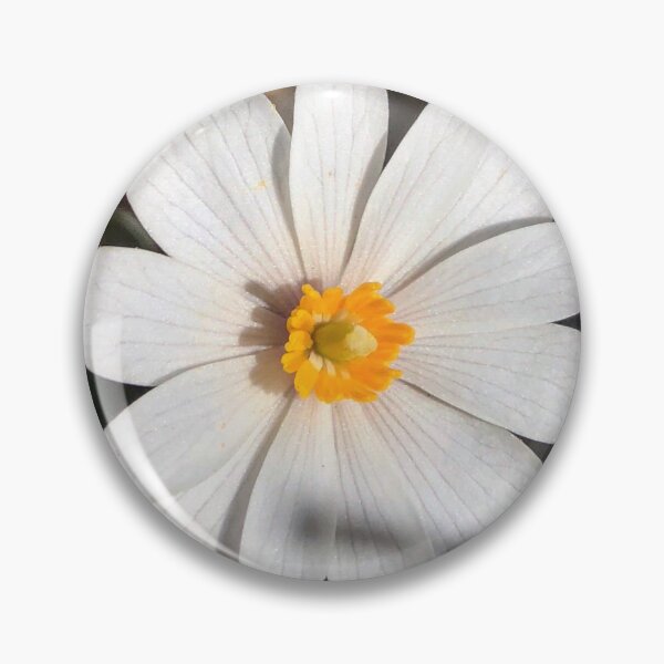 Item preview, Bloodroot Flower  designed and sold by Paula Betz.
