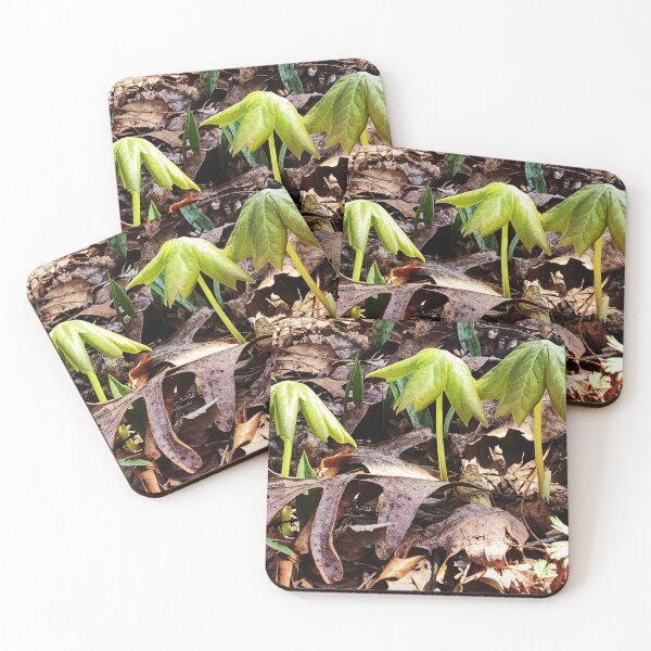 Item preview, Mayapples In Spring  designed and sold by Paula Betz.