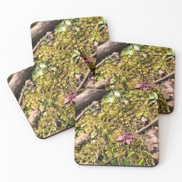 Item preview, Tall But Tiny Flower In The Woods designed and sold by Paula Betz.