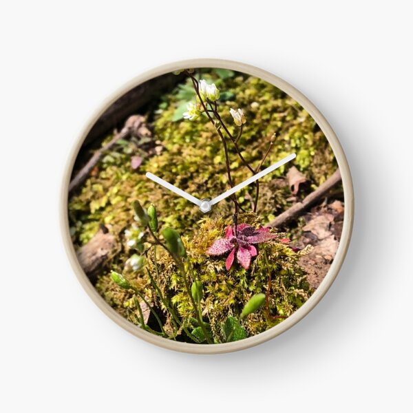 Item preview, Flor alta pero pequeña en el bosque designed and sold by Paula Betz.