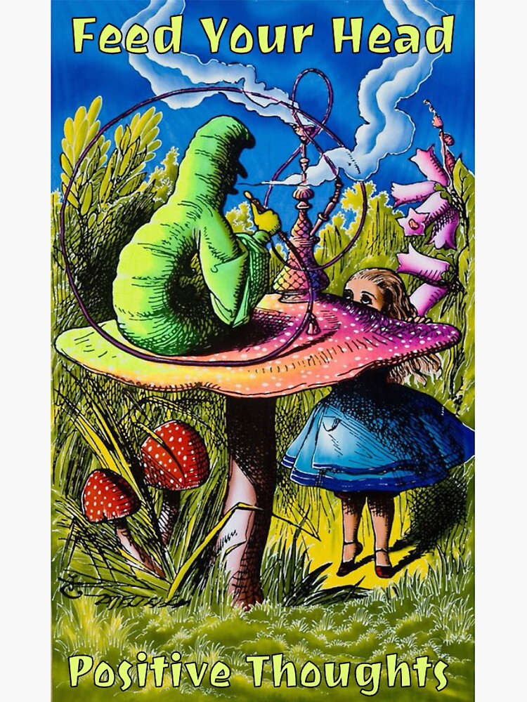 "Feed your head positive thoughts" Sticker for Sale by sydh00 Redbubble