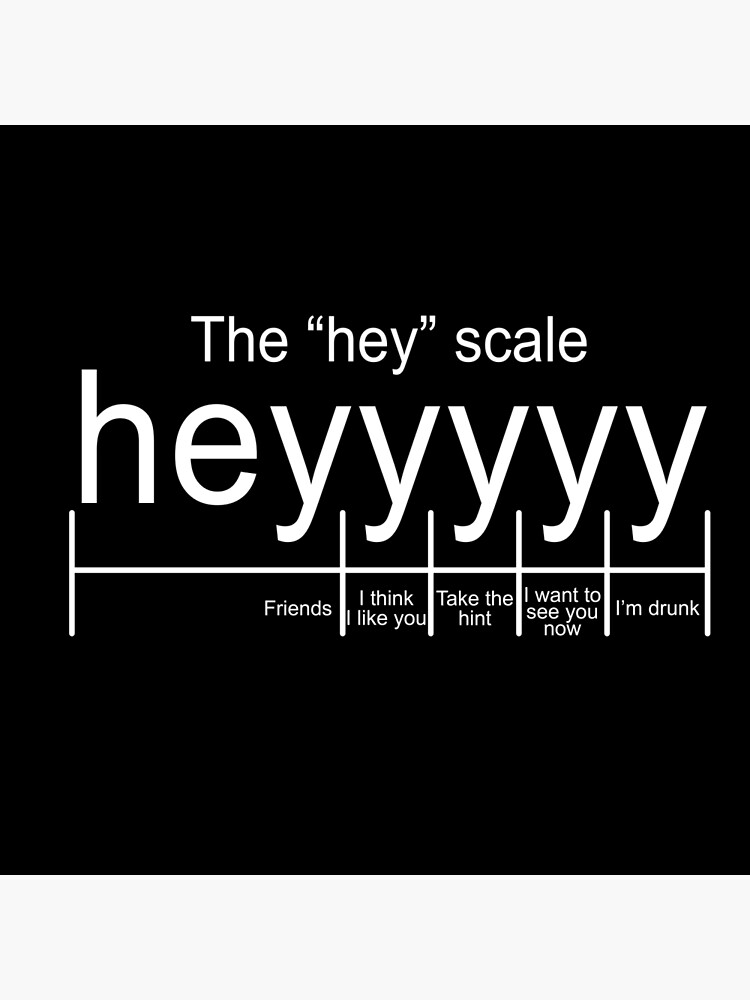 the hey scale shirt