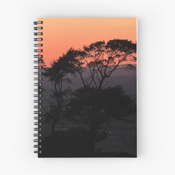 Item preview, Orange Trees designed and sold by Theresa Selley Photography.