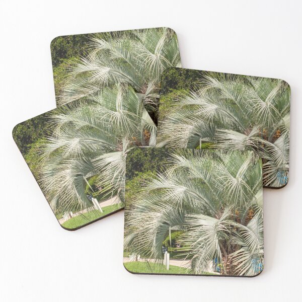 Item preview, Full blossom of a palm tree designed and sold by Ruth Curtis.