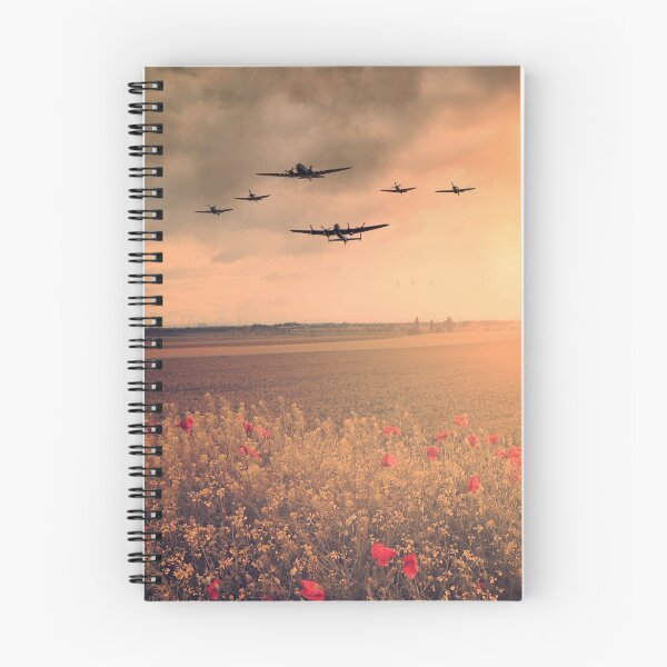 Item preview, Warbird Poppy Pass designed and sold by Airpower Art.