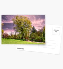 Weeping Willow Tree Postcards