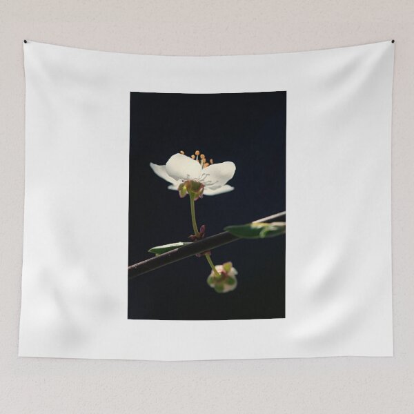 Item preview, White flowers on black background designed and sold by olena2552.