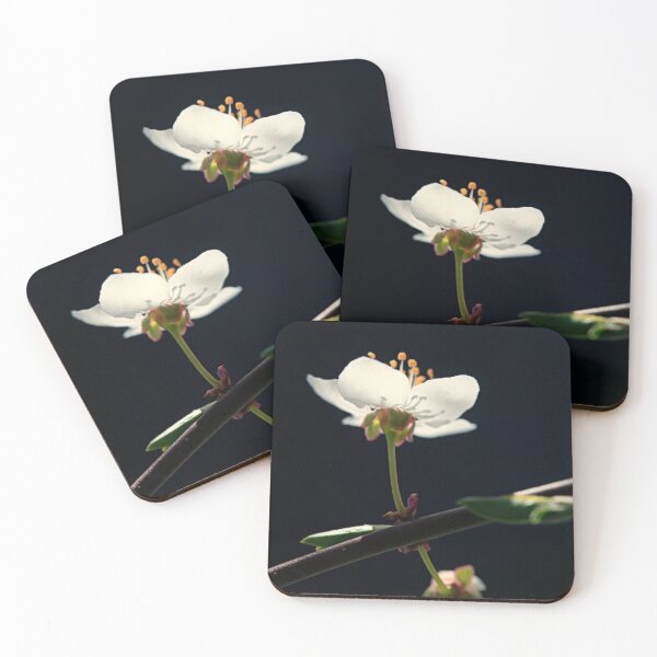 Item preview, White flowers on black background designed and sold by olena2552.