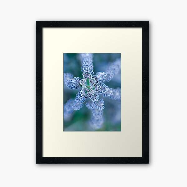 Item preview, Interesting Star designed and sold by Nina  Matthews Photography.