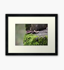 ♫ In My Little Town ♫♪ Framed Print