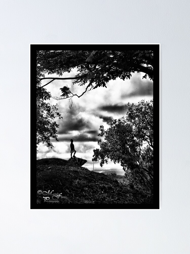Alternate view of top of the world Poster