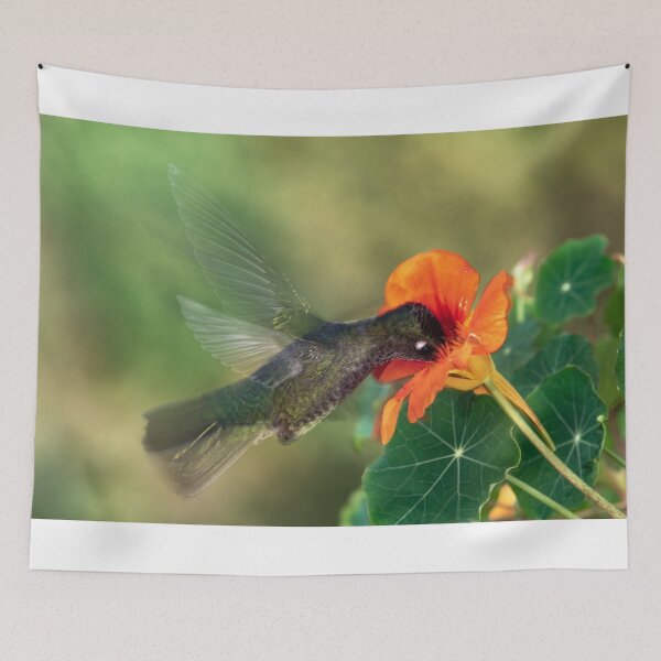Item preview, Hummingbird sucking designed and sold by Pepcandela.