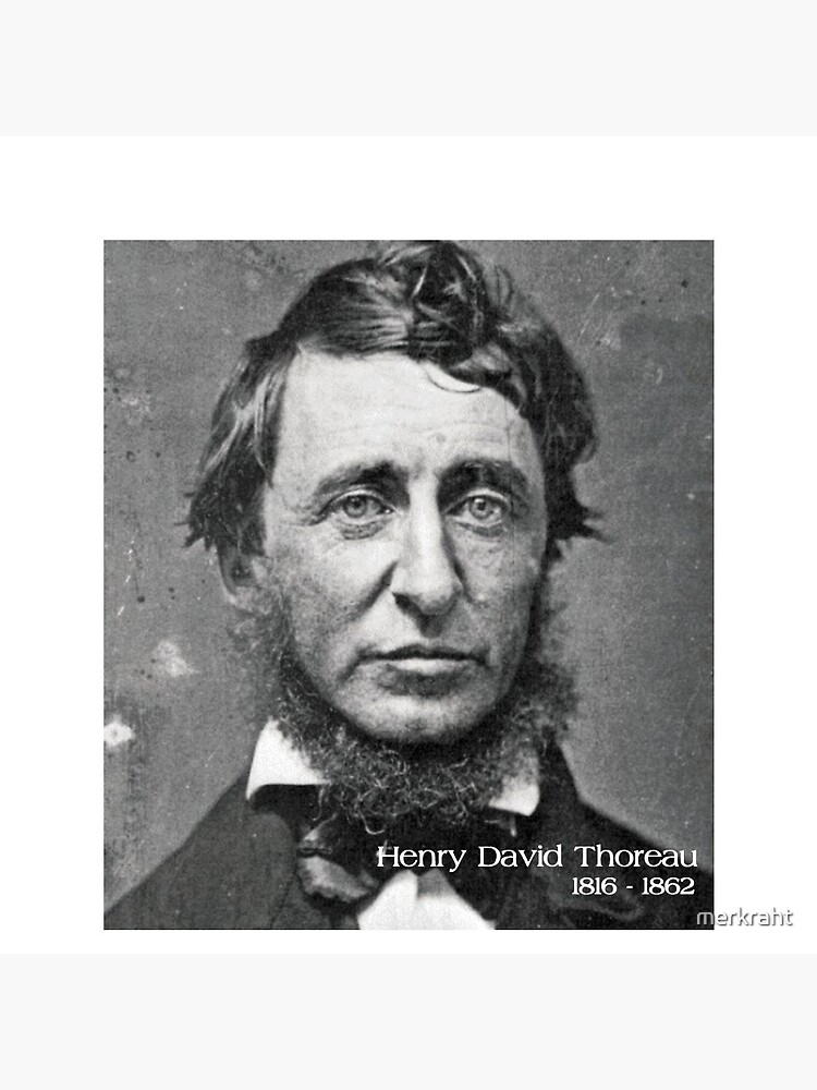 philosopher thoreau