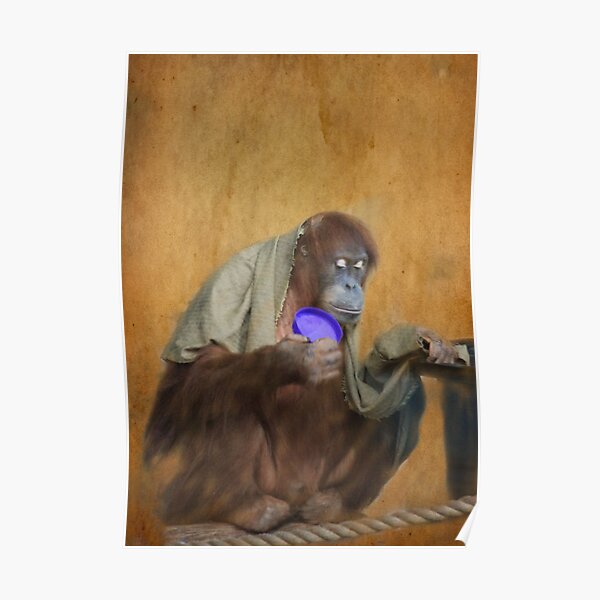 The Begger Poster