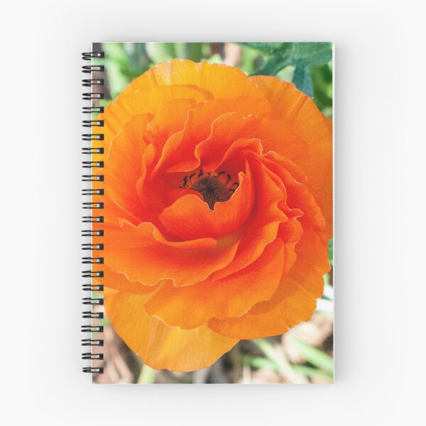 Item preview, Double Orange Anenome  designed and sold by DPalmer.
