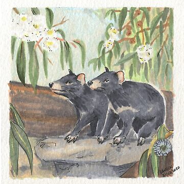 Artwork thumbnail, Tasmanian Devils & Blue Gum Eucalyptus by ddanyen