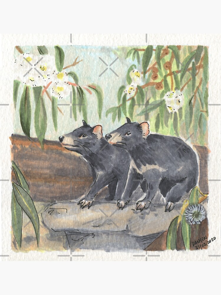 Thumbnail 3 of 3, Sticker, Tasmanian Devils & Blue Gum Eucalyptus designed and sold by ddanyen.