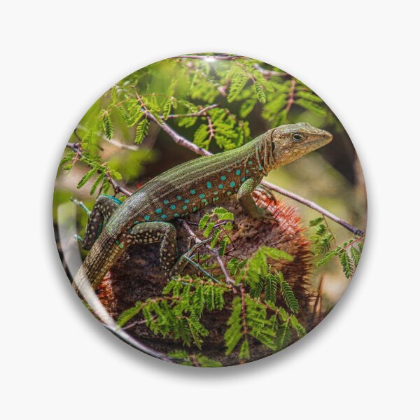 Item preview, Cactus Seat  designed and sold by Jasmine Geerman Zehl.