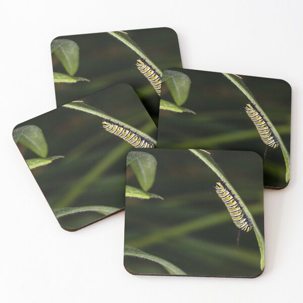 Item preview, Monarch Caterpillar designed and sold by Robert Alsop.