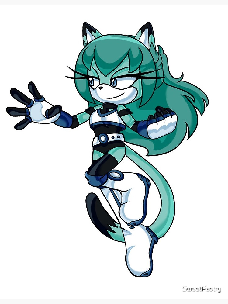 Image result for sonic fan characters