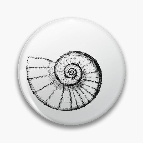 Item preview, Sea Snail Shell Sketch Nautical Clock designed and sold by ClocksMan.