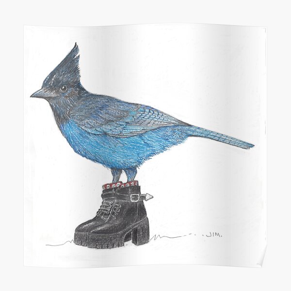 blue jay in punk boots Poster