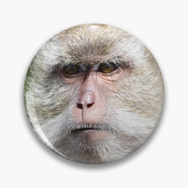 Item preview, Mono macaco mirando designed and sold by Keithydee.