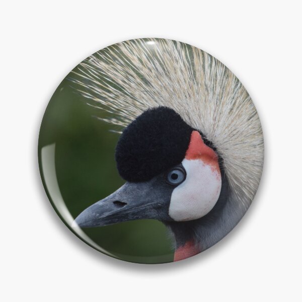 Item preview, Grey crowned crane. designed and sold by Keithydee.