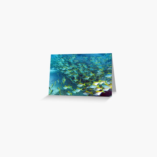 SCHOOLS OUT FOR SUMMER Greeting Card