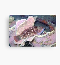 SLEEPING Canvas Print