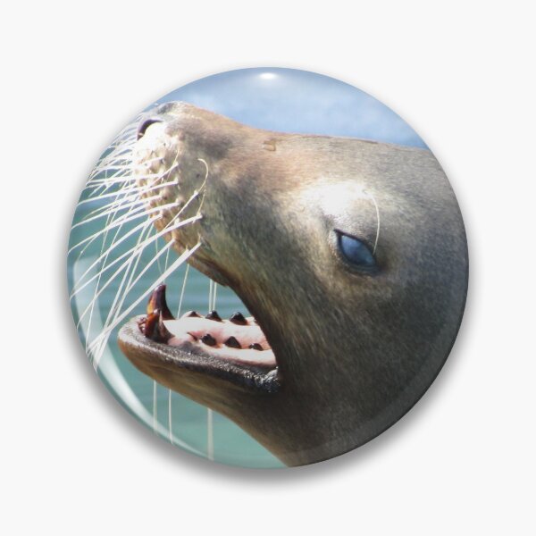 Item preview, Sealion barking designed and sold by Keithydee.