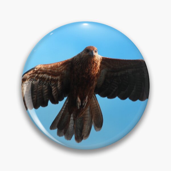 Item preview, Brahminy Kite designed and sold by treborbob.