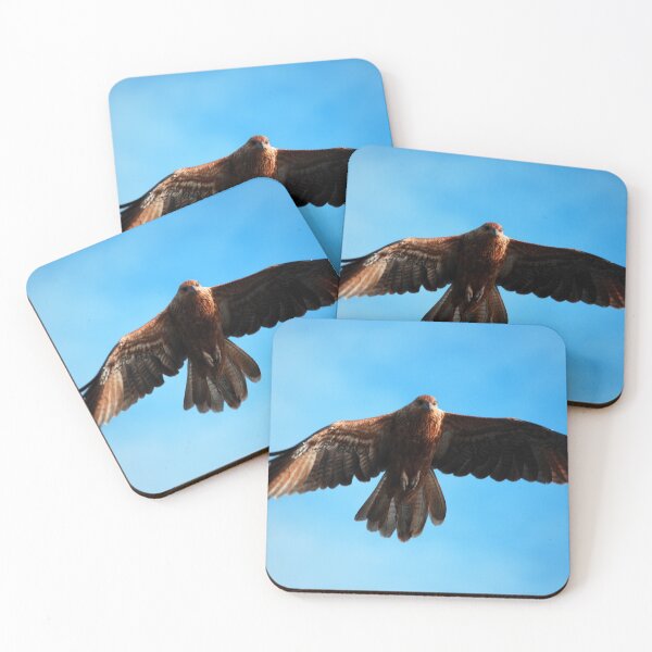 Item preview, Brahminy Kite designed and sold by treborbob.