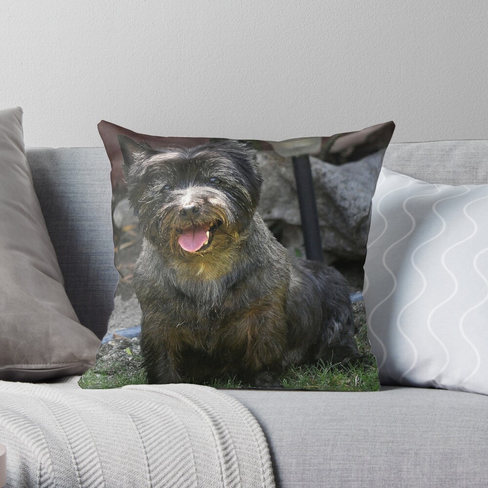 cairn terrier pillows