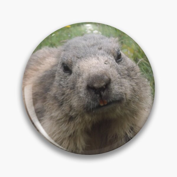 Item preview, Marmot on a Swiss mountain designed and sold by Keithydee.