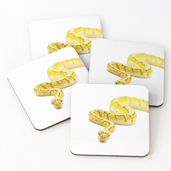 Item preview, Spinner Blast Ball Python Yellow Snake designed and sold by bahlpythons.