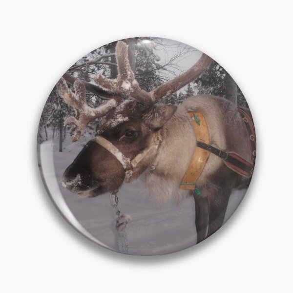 Item preview, Reindeer sleigh, Finnish Lapland. designed and sold by Keithydee.