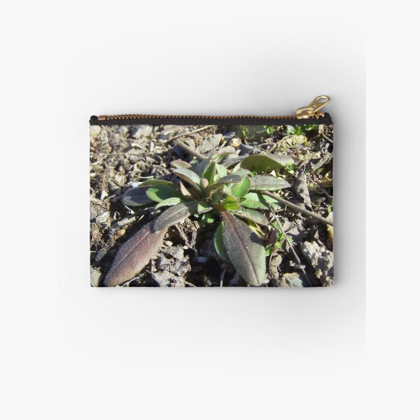 Item preview, Rocky Plant designed and sold by GrudleBay.