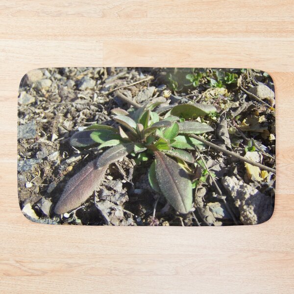 Item preview, Rocky Plant designed and sold by GrudleBay.