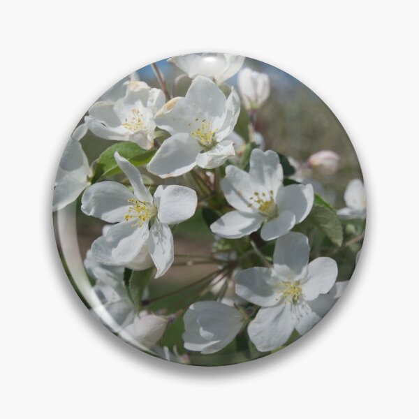 Item preview, Blossom Buzz designed and sold by TeresaYoung9.