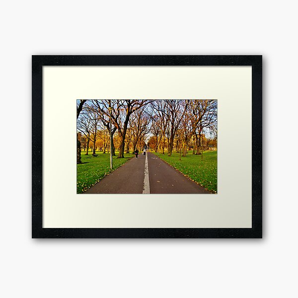 Meadows pathway Edinburgh Framed Art Print