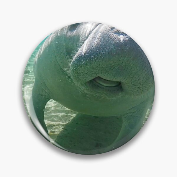 Item preview, Manatee Fun designed and sold by ChasingTheBlue.