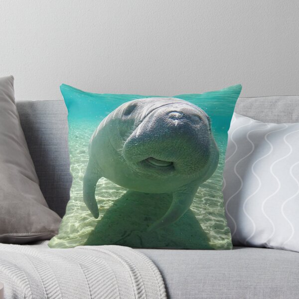 Item preview, Manatee Fun designed and sold by ChasingTheBlue.