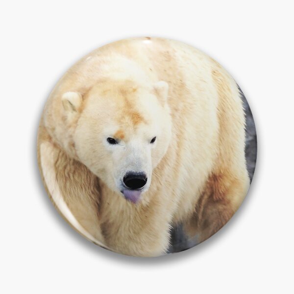 Item preview, Pola Bear  designed and sold by cs-cookie.