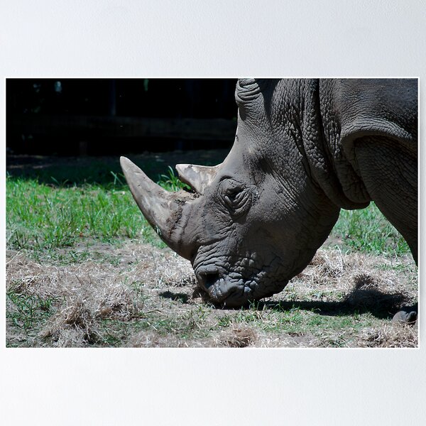 Item preview, Rhino Graze designed and sold by Jarmat.