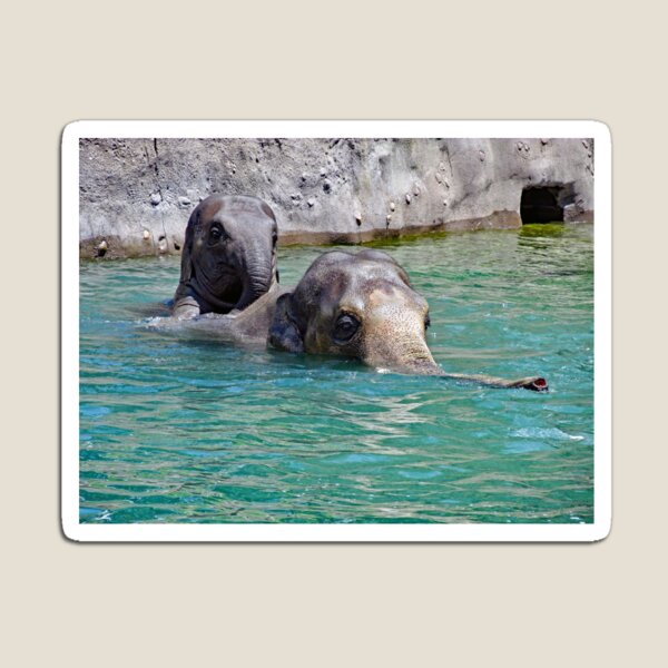 Item preview, Swimming lesson designed and sold by Patman61.