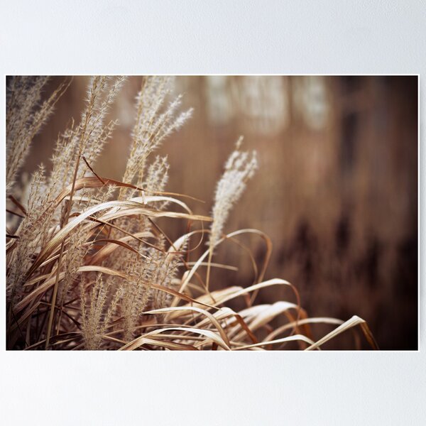 Item preview, Grass to the right designed and sold by fehwag.