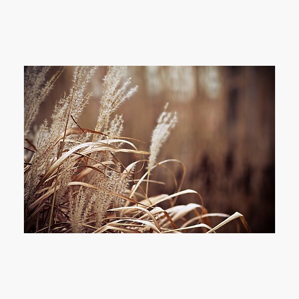 Item preview, Grass to the right designed and sold by fehwag.