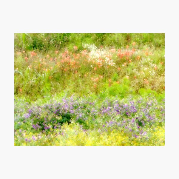 Item preview, Flower Field 2 (Dreamy) designed and sold by Carolyn  Fletcher.