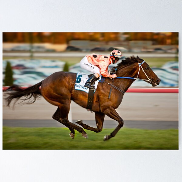 Item preview, Black Caviar designed and sold by Paul Grinzi.